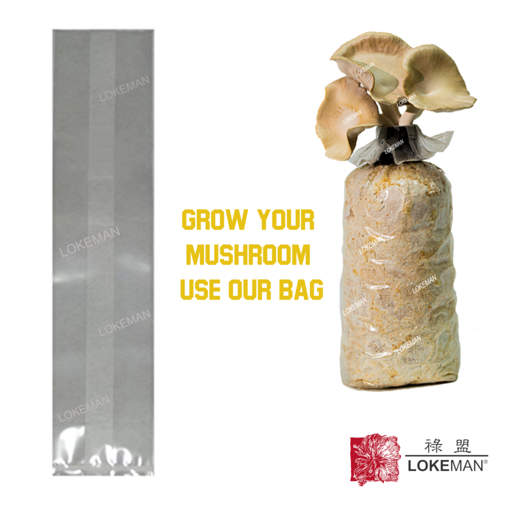 Mushroom Grow Bag (50pcs) LOKEMAN